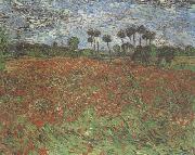 Vincent Van Gogh Field with Poppies (nn04) Germany oil painting reproduction